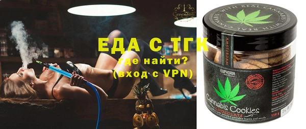 индика Кинешма