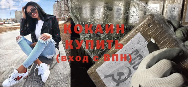 индика Кинешма