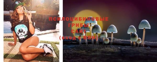 стафф Киреевск