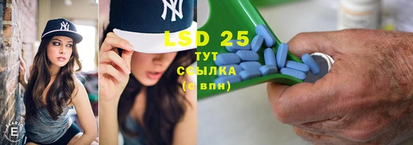индика Кинешма