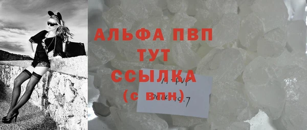 индика Кинешма