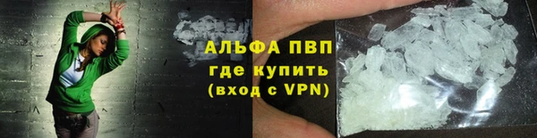 индика Кинешма