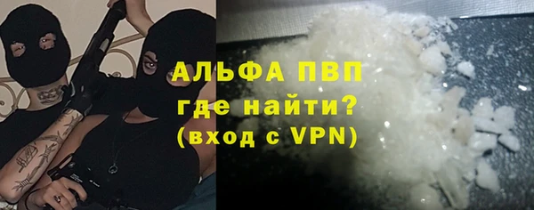 индика Кинешма