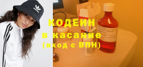 индика Кинешма