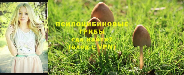 индика Кинешма