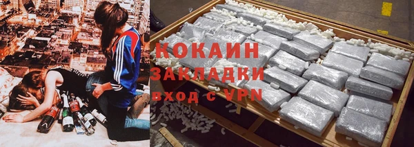 индика Кинешма