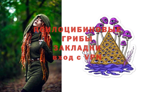 индика Кинешма