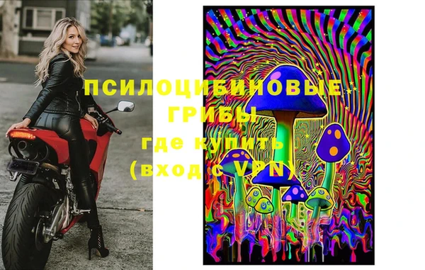 стафф Киреевск
