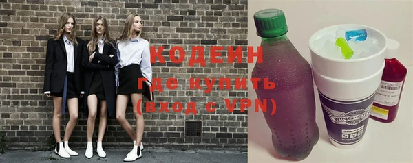 индика Кинешма