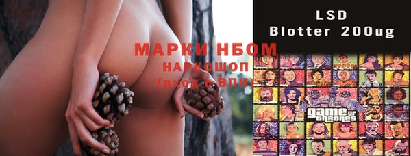 стафф Киреевск