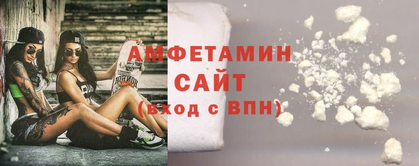 индика Кинешма