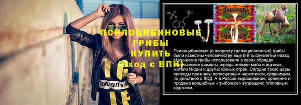 стафф Киреевск