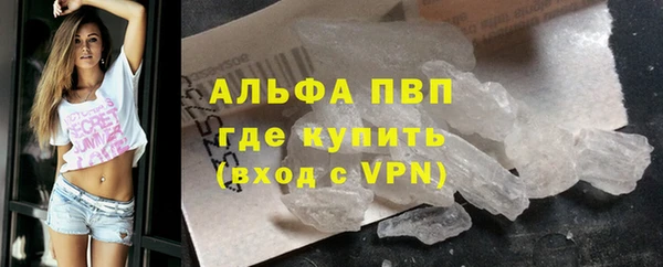 амф Великий Новгород