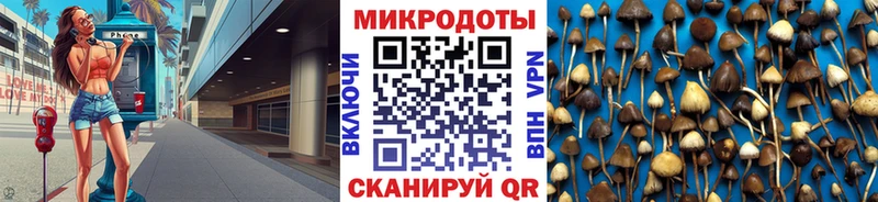 Купить закладки  Дно  Галлюциногенные грибы GOLDEN TEACHER 