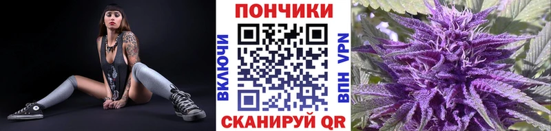 Купить где  Дно  Марихуана Amnesia 